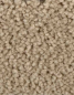Preview: Saxony Velour sand beige
