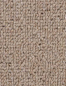 Preview: Teppichboden Schlinge beige